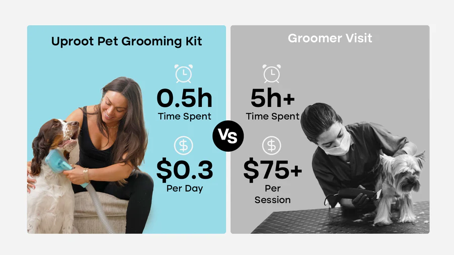 Save Time & Money